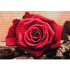 Teemantmaalimine Raamiga 20 x 30 cm