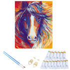 Maalimine Numbrite Järgi Raamiga 30 x 40 cm – Kvaliteetne Maalimiskomplekt