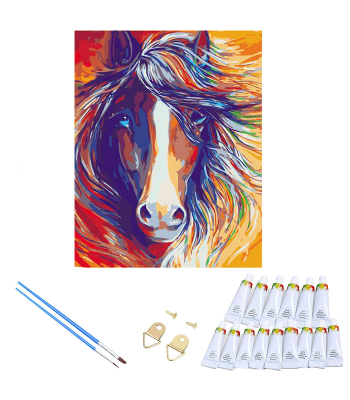 Maalimine Numbrite Järgi Raamiga 30 x 40 cm – Kvaliteetne Maalimiskomplekt