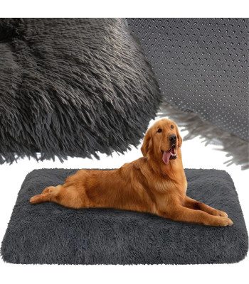 Koerte Shaggy Pesa
