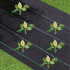 Aiakate 90g 1,6x10m Must UV Kaitsekangas