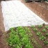 Talvine agrokangas