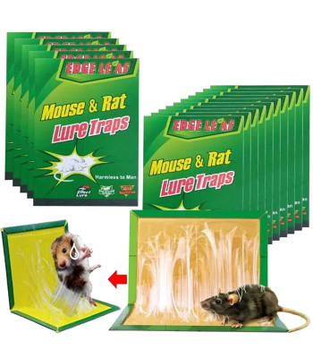 15-osaline hiirepüüdjate komplekt