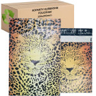 Foliopakk Kuller Gepard 255x370 mm 50 tk