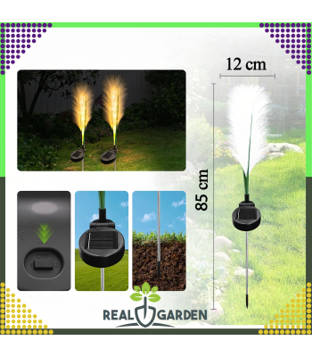 2x Päikeseenergial töötav aialamp - Pampase rohi