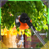 Juhtmeta muru trimmer