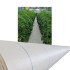 Agrotekstiil 100g 1,6x50m Valge UV Kaitsekangas Maapealne Matt