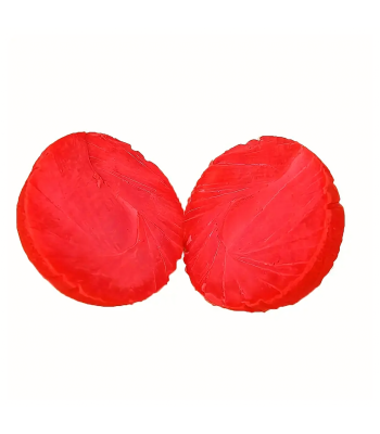 Koerale mängupall