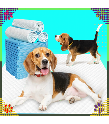 Hügieenilised Matid Koerale, Õpetamiseks ja Treenimiseks, XL 60x60cm, 50 tk