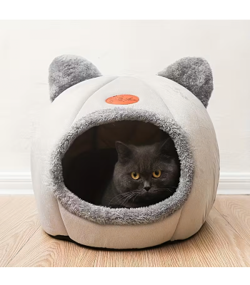 Kasside ja koerte plüüskuppel