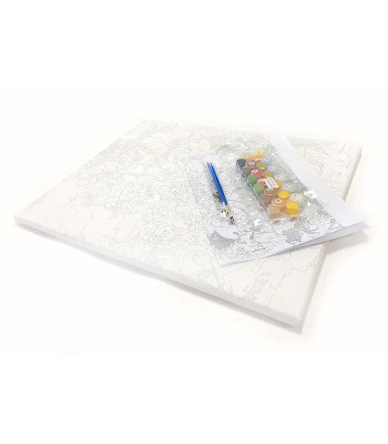 Numbrite järgi maalimine 40 x 50 cm raamiga - kvaliteetne maalimiskomplekt delfiinid