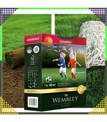 Premium spordimuru WEMBLEY 1kg 40m muruplats