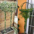 Metallist aiapergola terrassile, ronitaimede ja rooside tugi 50x10 cm