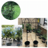 Metallist aiapergola terrassile, ronitaimede ja rooside tugi 50x10cm