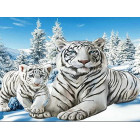 Diamentmaalimise Komplekt