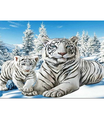 Diamentmaalimise Komplekt