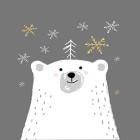 Teemanttikunsti komplekt 5D Karu