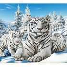 Diamenttikand Maal Komplekt 5D 24