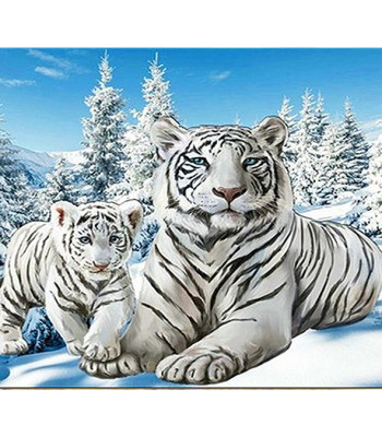 Diamenttikand Maal Komplekt 5D 24