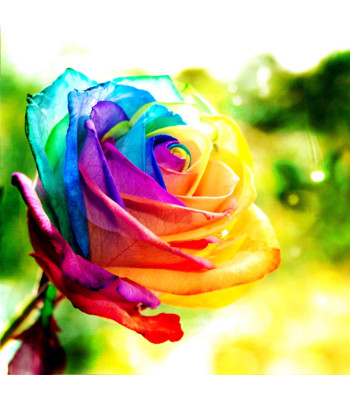 Teemanttikand Komplekt 5D 42