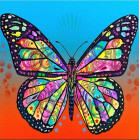 Teemanttikunsti Komplekt Värvilise Liblika Muster