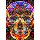 Teemanttikunsti Komplekt Kolju Muster