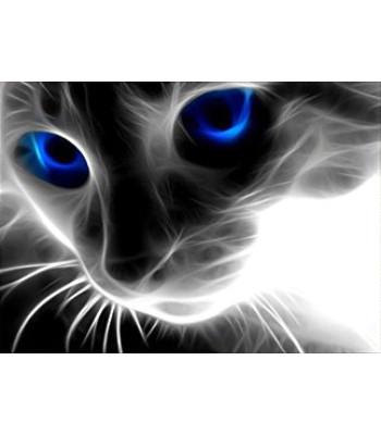 Teemanttikomplekt - Kassi Muster