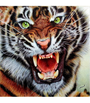 Teemanttikunst Lõvi Muster