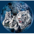 Teemanttikomplekt 5D Maal