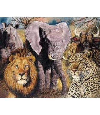 Teemanttikunsti komplekt 5D 128