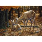 Teemantmaali Komplekt Raamiga 30X40