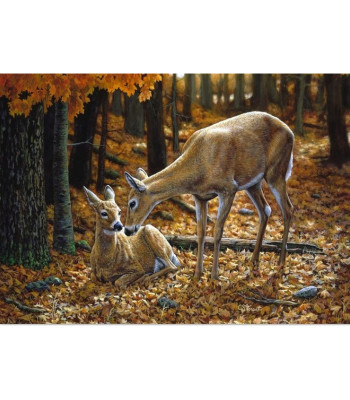 Teemantmaali Komplekt Raamiga 30X40