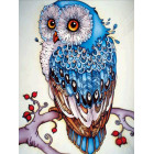 Teemanttikunsti maalimise komplekt 5D