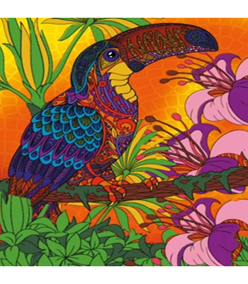 Teemanttikunsti Komplekt Tukani Muster