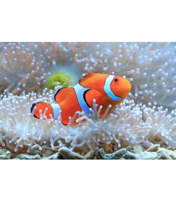 Teemantmaali komplekt 5D 143