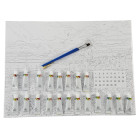 Maali numbrite järgi koos raamiga 40 x 50 cm – Kvaliteetne maalimiskomplekt Leopard