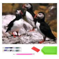 Suur Teemanttikandmine Mosaiik komplekt