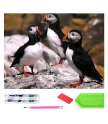 Suur Teemanttikandmine Mosaiik komplekt