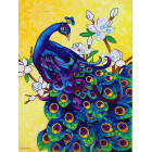 teemantmaalimise mosaiigikomplekt 5d faasan 15 x 20 cm