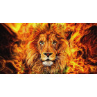 teemantmaalimise mosaiigikomplekt 5d 135