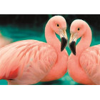 teemantmaalimise mosaiigikomplekt 5d 141