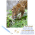 Numbrite järgi maalimise komplekt pildi, raami, pintslite, värvide ja lõuendiga – Jaguar 40 x 50 cm