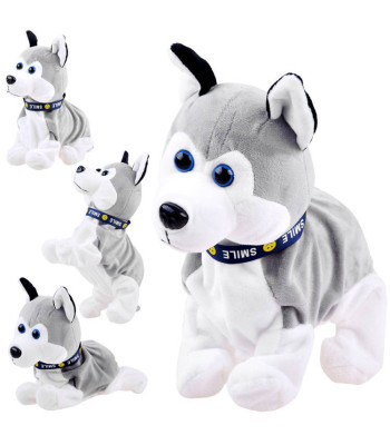 Interaktiivne Husky koer