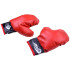 Bokserikomplekt SP0565 kindad ja kott