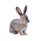 Seria Loomade Farmi Kogu Figuriinid Jänes Kollektsioon ZA3383