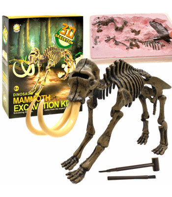 Mammutiluustik 3D kaevamisekomplekt