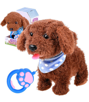 Interaktiivne armas koer rihmaga