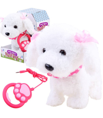 Interaktiivne armas koerake jalutab haugub