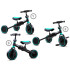 Tiny Bike Kolmerattaline Jalgratas 3in1