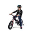 RoyalBaby jalgratas 14